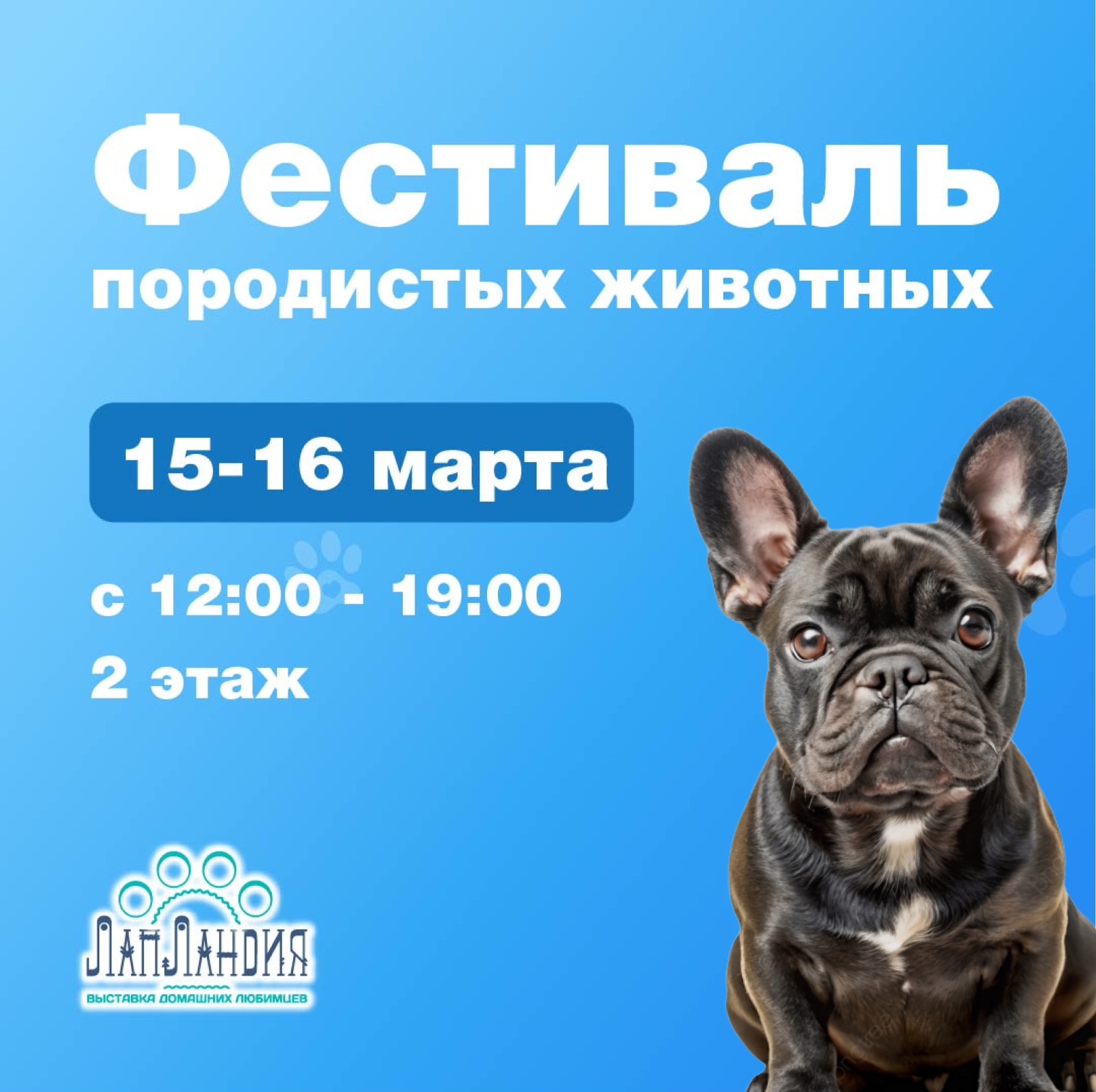 Фестиваль породистых домашних животных ЛапЛандия в ТРК "Питерлэнд"!