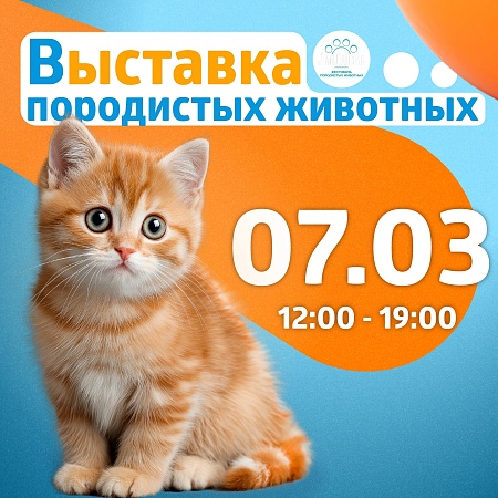 Выставка кошек в ТРК «Питерлэнд»! 