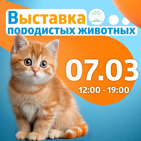 Выставка кошек в ТРК «Питерлэнд»! 