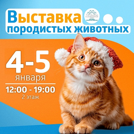 Познакомьтесь с милыми животными в эти каникулы на фестивале «ЛапЛандия» в ТРК «Питерлэнд»!