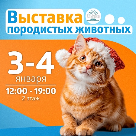 Познакомьтесь с милыми животными в эти каникулы на фестивале «ЛапЛандия» в ТРК «Питерлэнд»!